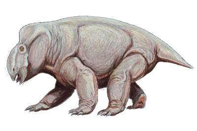 Реконструкция внешнего вида дицинодонта рода Placerias, которые весили около тонны. Иллюстрация: Dmitry Bogdanov / Wikipedia