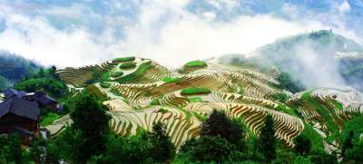 Рисовые террасы в Китае. Фото ФАО/Департамент по вопросам сельского хозяйства Лонгшенга