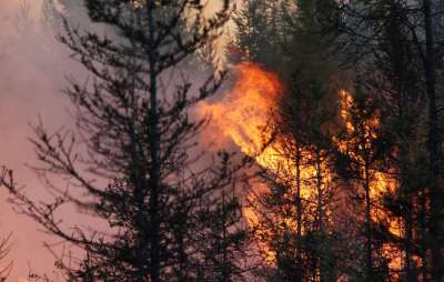 Глава ведомства Дмитрий Кобылкин отметил, что в восточной части России пожары уже наблюдаются. Фото Светлана Павлова/ТАСС