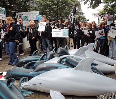 Демонстрация за запрет всех дельфинариев в Евросоюзе (2013 год)