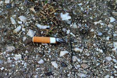 При разложении сигаретных фильтров в окружающую среду попадает около 7 тыс. различных химических соединений, многие из которых являются ядовитыми