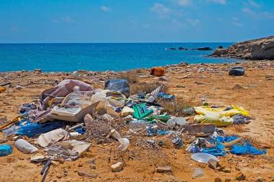 Исследователи проследили путь отходов от человека в море и обратно на сушу. 