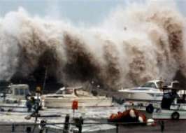 Тайфун. Фото с сайта http://www.koshe.ru