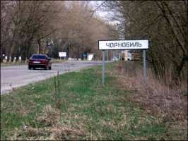 Чернобыльские леса. Фото с сайта http://ru.ura-inform.com