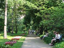 Ботанический сад. Фото с сайта fotomoskva.net.ru