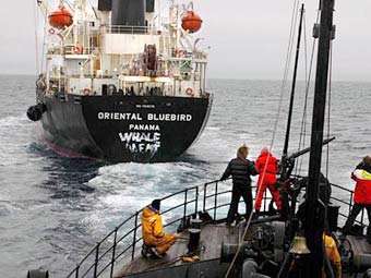 	
Активисты Sea Shepherd гонятся за китобойным судном. Фото с сайта seashepherd.org