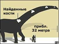 Вместе с костями динозавра хорошо сохранились окаменелости других видов