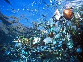 Пластик в океане. Фото с сайта environmentdebate.wordpress.com.