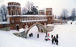 Снегопад в Москве положительно повлиял на экологическую обстановку в регионе. Фото: РИА Новости