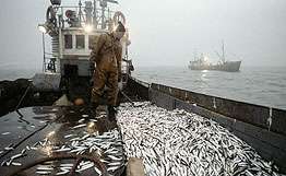 Российские пограничники задержали браконьеров в Охотском море. Фото: РИА Новости