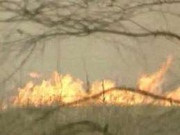 Чита погрузилась в дым от лесных пожаров. Фото: НТВ