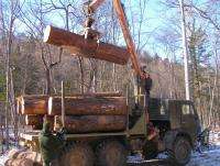 Декабрь 2007 г. - в заказнике «Таежный» продолжают валить ценные деревья под прикрытием «рубок ухода». Фото: WFF России