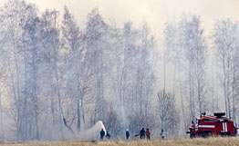 Пожары наносят лесу больший ущерб, чем незаконные рубки. Фото: РИА Новости