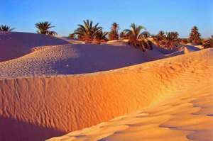 Сахара превратилась в самую обширную пустыню планеты около 2700 лет назад в ходе очень медленной эволюции климата. Фото: АМИ-ТАСС
