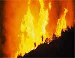 Спасатели готовятся к пику лесных пожаров на Среднем Урале. Фото: РИА &quot;Новый Регион&quot;