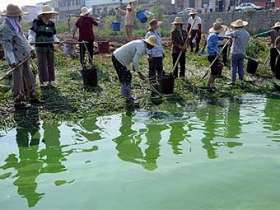Устранение последствий утечки химикатов в Китае. Фото AFP