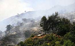 Из-за &quot;сухих гроз&quot; в Калифорнии бушуют более 800 лесных пожаров. Фото: РИА Новости