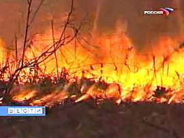 В Калифорнии - беспрецедентное число лесных пожаров. Фото: Вести.Ru