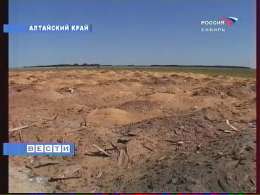 В Алтайском крае совершено крупное экологическое преступление. Фото: Вести.Ru