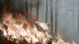 Площадь пожаров в Забайкалье за сутки увеличилась на 130 гектаров  мультимедиа. Фото: РИА Новости