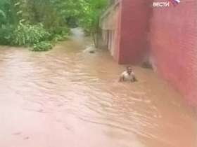 В Чили тысячи человек стали заложниками наводнений. Фото: Вести.Ru