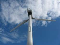 Регионы и компании стремятся использовать энергию ветра. Фото: Беллона