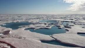 Площадь арктических льдов в 2008 году может стать рекордно минимальной. Фото: РИА Новости