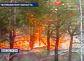 Ущерб от возгорания лесов исчисляется миллиардами. Фото: Вести.Ru