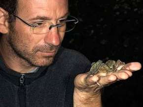 В горных лесах Танзании итальянский ученый обнаружил 17 новых видов рептилий и амфибий. Фото: corriere.it