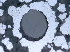 Микроскопические окаменелые капли нефти, которые использовались для новой датировки углеводородов. Фото авторов исследования.