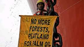 В Индонезии полиция пресекла акцию Гринпис против уничтожения лесов. Фото: РИА Новости