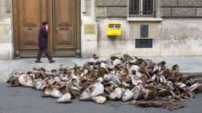 Экологи во Франции требуют прекратить ловлю голубого тунца. Фото: РИА Новости