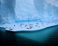 Антарктида. Фото: Росбалт