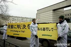 Акция Гринпис России у посольства Японии в Москве. 10 декабря, 2008. Фото: Greenpeace