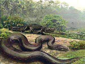 В Колумбии нашли останки огромной доисторической змеи: могла заглотить животное размером с корову. Рисунок с сайта http://news.bbc.co.uk
