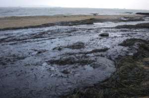 Экологическая катастрофа в Керченском проливе. Фото: http://www.segodnya.ua