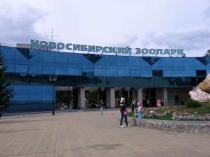 Новосибирский зоопарк. Фото: http://lh5.ggpht.com