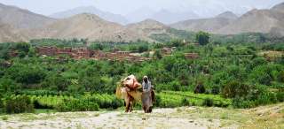 Афганистан. Фото: http://venividi.ru