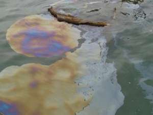 Причина разлива нефти в Новороссийске - человеческий фактор. Фото: Вести.Ru