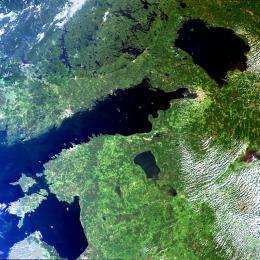 Финский залив. Фото со спутника
