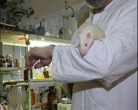 SPEAK протестует против лаборатории для испытаний на животных в Оксфорде. Фото: http://novosti.err.ee