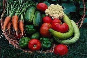 У президентской четы США появится свой огород, на котором будут выращиваться натуральные овощи и фрукты. Фото:АМИ-ТАСС