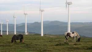 Эксперементальный парк ветряной энергии Сотовенто (Галисия). Фото: РИА Новости