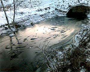 Нефтепродукты в реке. Фото из архива http://gazeta.ru