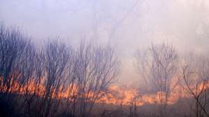 В прошлом году в этом федеральном округе, в который входит Хабаровский край, выгорело около миллиона гектаров леса, и этим летом при неблагоприятном стечении обстоятельств может выгореть столько же. Фото: РИА Новости