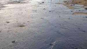 Ликвидация нефтяного разлива на Сахалине идет медленно - экологи. Фото: РИА Новости