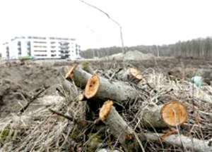 Тюмени нанесен экологический ущерб на 10 миллиардов рублей. Фото: Вести.Ru