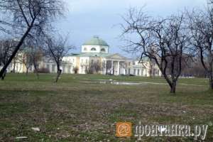 Парк Александрино превратили в помойку. Фото: Евгения Боргунова (http://foto.fontanka.ru)
