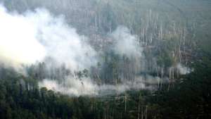 Три лесных пожара бушуют в Югре. Фото: РИА Новости