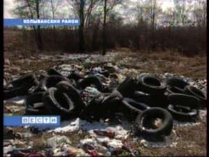 Колыванские власти признаны нарушителями экологии. Фото: Вести.Ru